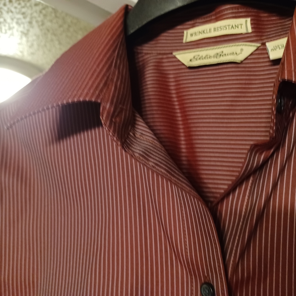 Eddie Bauer Button Down Blouse - image 2